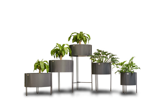 COLECCIÓN PLANTERS